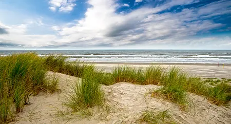 Alexsar Art Tuinschilderij duinen strand 130x70cm