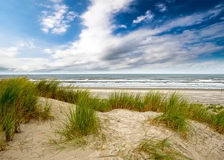 Alexsar Art Tuinschilderij duinen strand 70x50cm - afbeelding 1