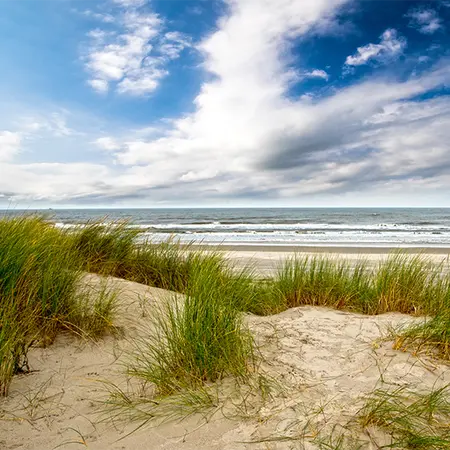 Alexsar Art Tuinschilderij duinen strand 70x70cm - afbeelding 1