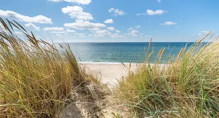 Alexsar Art Tuinschilderij duingras 130x70cm - afbeelding 1