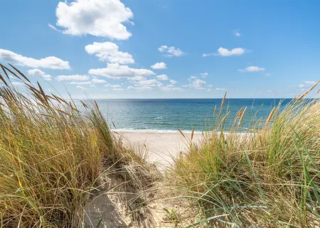 Alexsar Art Tuinschilderij duingras 70x50cm - afbeelding 1