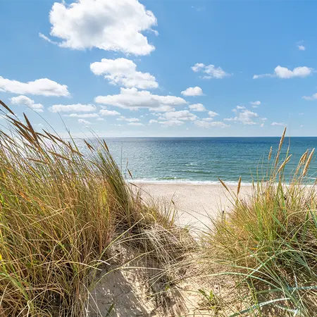 Alexsar Art Tuinschilderij duingras 50x50cm - afbeelding 1