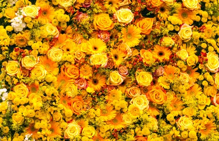 Alexsar Art Tuinschilderij gele rozen 130x70cm - afbeelding 1