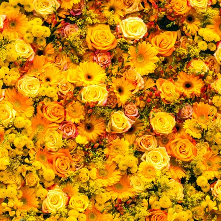 Alexsar Art Tuinschilderij gele rozen 70x70cm - afbeelding 1