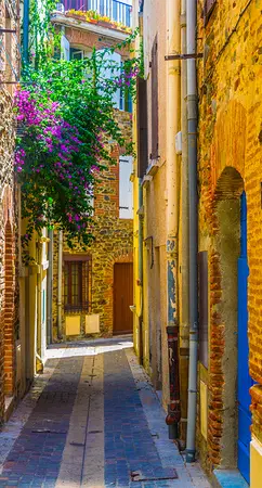 Alexsar Art Tuinschilderij gele steeg 130x70cm - afbeelding 1