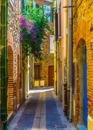 Alexsar Art Tuinschilderij gele steeg 70x50cm - afbeelding 1