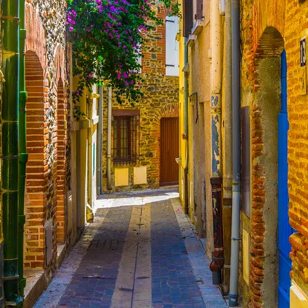 Alexsar Art Tuinschilderij gele steeg 50x50cm - afbeelding 1