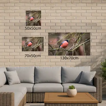 Alexsar Art Tuinschilderij goudvink 50x50cm - afbeelding 3