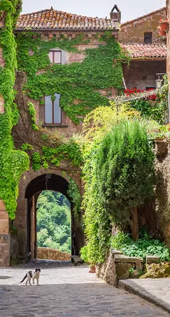 Alexsar Art Tuinschilderij groen pleintje 130x70cm - afbeelding 1