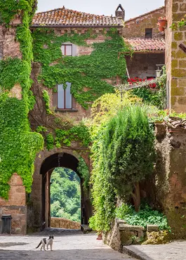 Alexsar Art Tuinschilderij groen pleintje 70x50cm - afbeelding 1