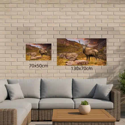 Alexsar Art Tuinschilderij hert 70x50cm - afbeelding 2