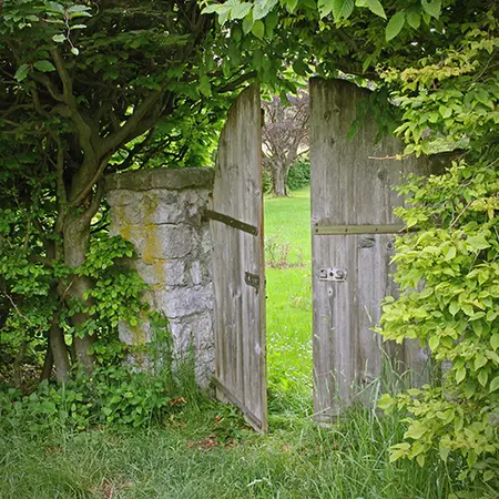 Alexsar Art Tuinschilderij houten deur 50x50cm - afbeelding 1