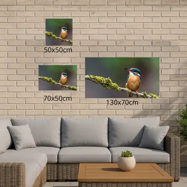 Alexsar Art Tuinschilderij ijsvogel 50x50cm - afbeelding 3