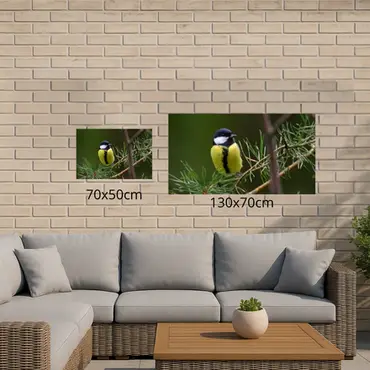 Alexsar Art Tuinschilderij koolmees 70x50cm - afbeelding 2