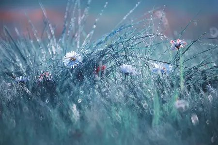 Alexsar Art Tuinschilderij lente 70x50cm - afbeelding 1