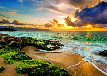 Alexsar Art Tuinschilderij mossy beach 70x50cm - afbeelding 1