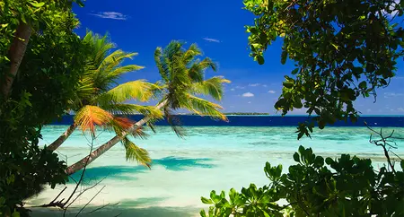 Alexsar Art Tuinschilderij oceaan 130x70cm