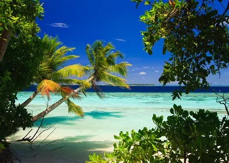 Alexsar Art Tuinschilderij oceaan 70x50cm - afbeelding 1