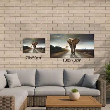 Alexsar Art Tuinschilderij olifant 70x50cm - afbeelding 2