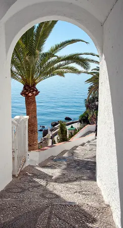 Alexsar Art Tuinschilderij palm boog 130x70cm