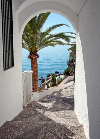 Alexsar Art Tuinschilderij palm boog 70x50cm - afbeelding 1