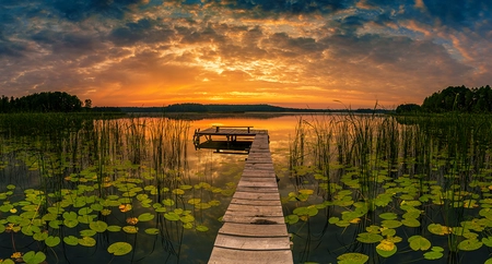 Alexsar Art Tuinschilderij panorama 130x70cm - afbeelding 1