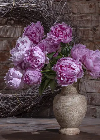 Alexsar Art Tuinschilderij pioenrozen 70x50cm