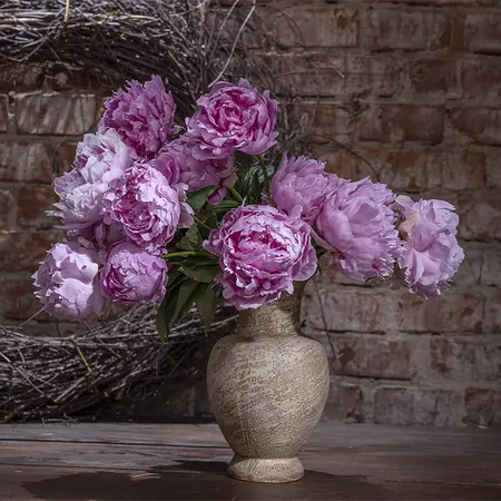 Alexsar Art Tuinschilderij pioenrozen 50x50cm - afbeelding 1