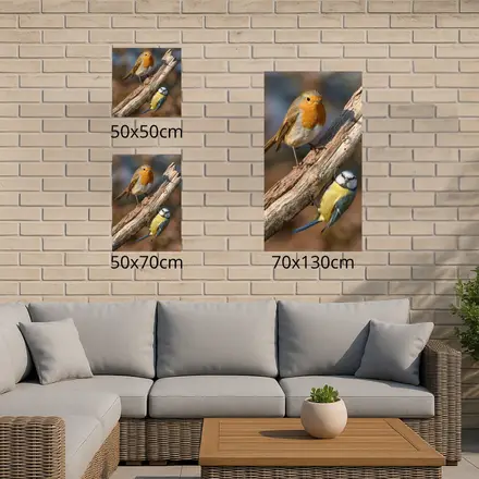 Alexsar Art Tuinschilderij robbi & kool 50x50cm - afbeelding 3