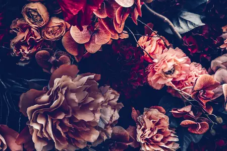 Alexsar Art Tuinschilderij rode bloemen 130x70cm