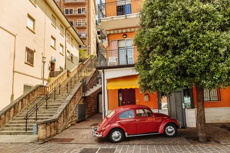 Alexsar Art Tuinschilderij rode kever 70x50cm - afbeelding 1