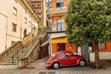 Alexsar Art Tuinschilderij rode kever 70x50cm - afbeelding 1