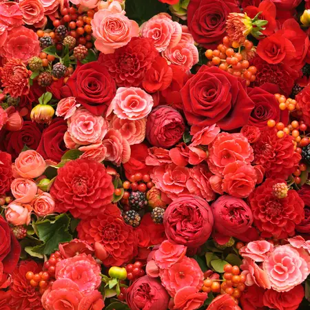 Alexsar Art Tuinschilderij rode rozen 50x50cm - afbeelding 1