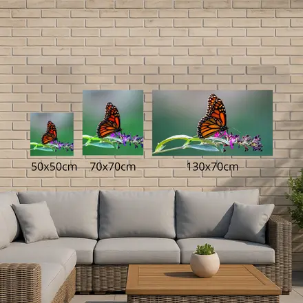 Alexsar Art Tuinschilderij rode vlinder 50x50cm - afbeelding 3