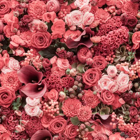 Alexsar Art Tuinschilderij roze rozen 50x50cm - afbeelding 1