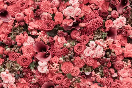 Alexsar Art Tuinschilderij roze rozen 130x70cm