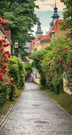 Alexsar Art Tuinschilderij rozen straat 130x70cm
