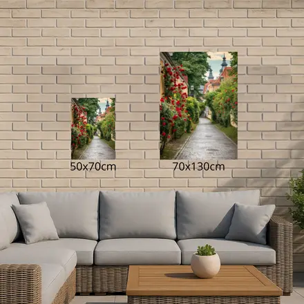 Alexsar Art Tuinschilderij rozen straat 70x50cm - afbeelding 3