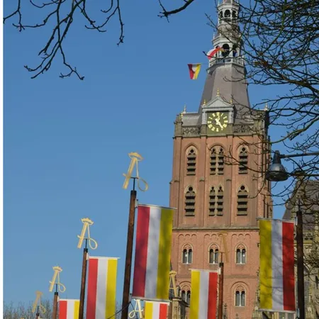 Alexsar Art Tuinschilderij Sint Jan Carnaval 50x50cm - afbeelding 1