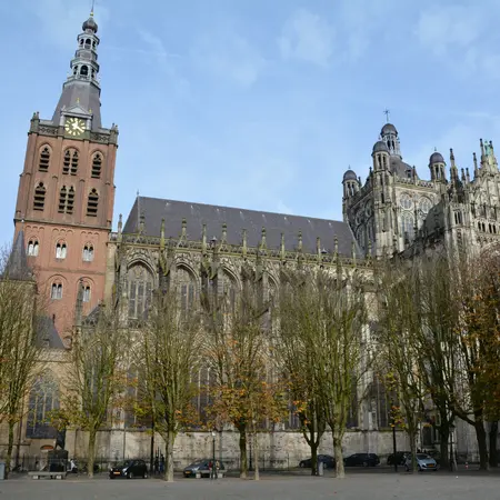 Alexsar Art Tuinschilderij Sint Jan Parade 50x50cm - afbeelding 1