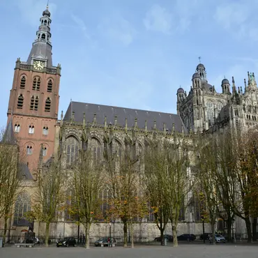 Alexsar Art Tuinschilderij Sint Jan Parade 50x50cm - afbeelding 1