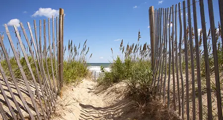 Alexsar Art Tuinschilderij strand pad 130x70cm