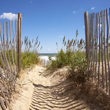 Alexsar Art Tuinschilderij strand pad 50x50cm - afbeelding 1