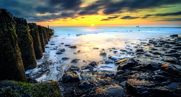 Alexsar Art Tuinschilderij strand palen 130x70cm - afbeelding 1