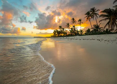 Alexsar Art Tuinschilderij strand palm 70x50cm - afbeelding 1