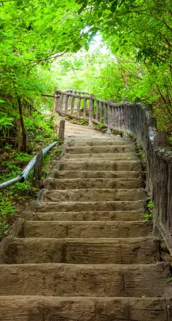 Alexsar Art Tuinschilderij trapgewijs 130x70cm