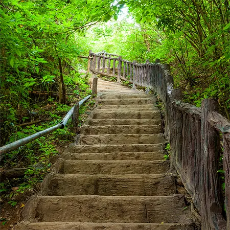 Alexsar Art Tuinschilderij trapgewijs 50x50cm