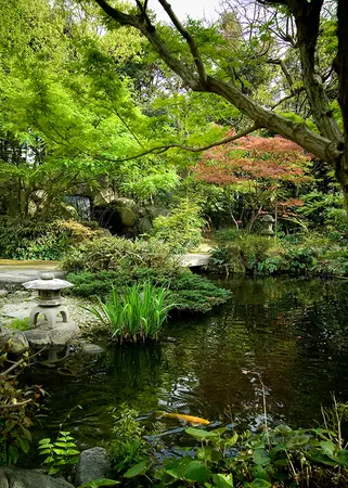 Alexsar Art Tuinschilderij vijver 70x50cm - afbeelding 1