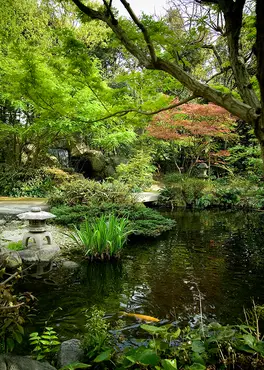 Alexsar Art Tuinschilderij vijver 70x50cm - afbeelding 1