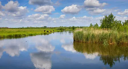 Alexsar Art Tuinschilderij wateren 130x70cm